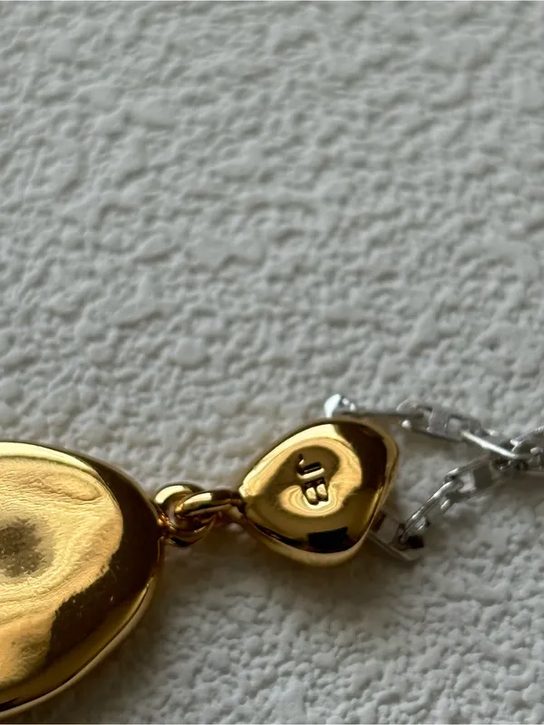 NWOT Jenny Bird Two-Tone Silver Chain Necklace with Gold Pendant Charm - Image 9