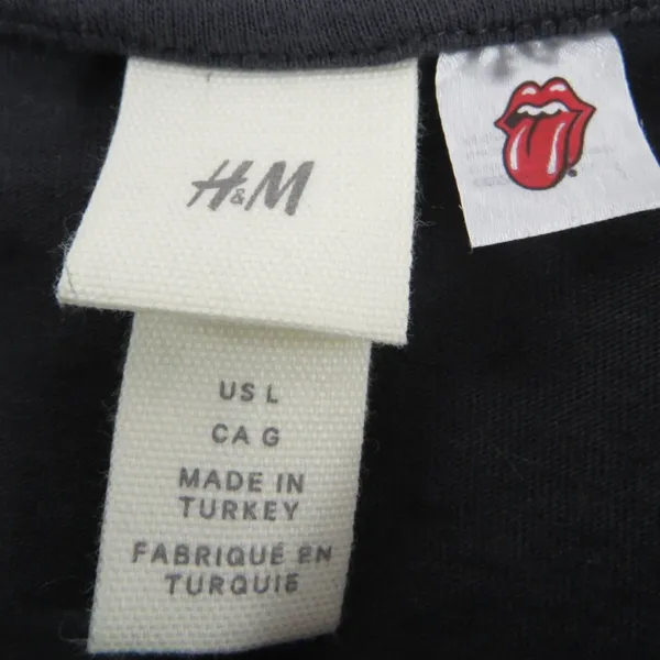 H&M Rolling Stones Graphic Crop Top Large Retro Rainbow Logo Crop Band Tee - Image 5