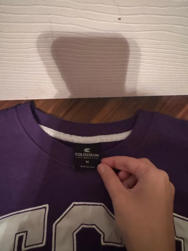 TCU Crewneck Champion - Image 2