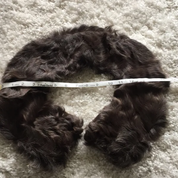 Vintage Fur Collar - Image 5