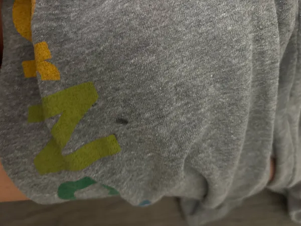 Grey Aviator Nation Sweatpants - Image 5