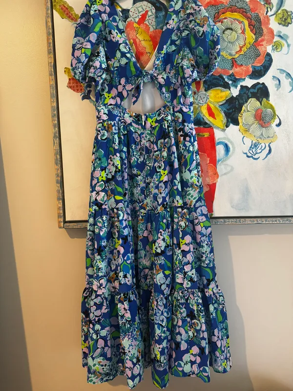 Lilly Pulitzer dress - Image 2