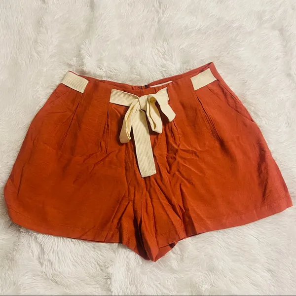 All in Favor Front Tie Pleated Terracotta Shorts - Image 3