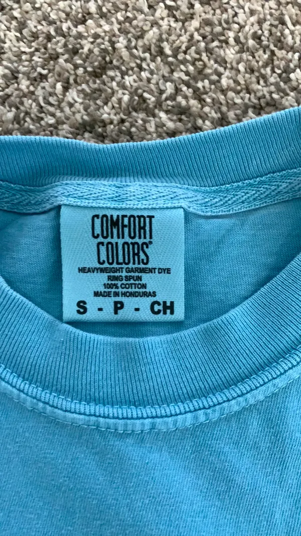 Comfort Colors Lumineers Light Blue 2025 Concert T-Shirt - Image 3