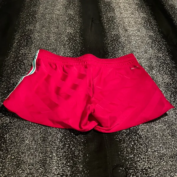 Womens medium Nike Shorts - Image 3