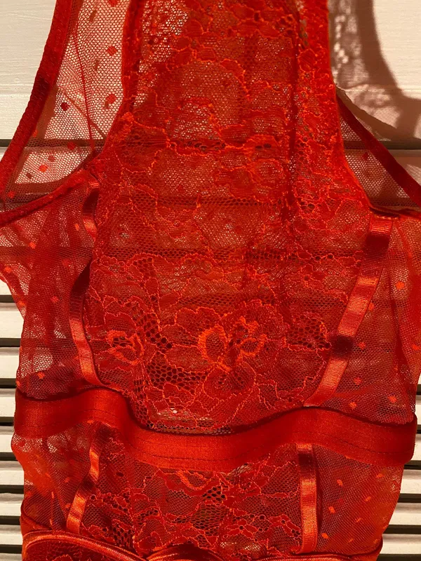 TJ Maxx teddy lingerie - Image 2