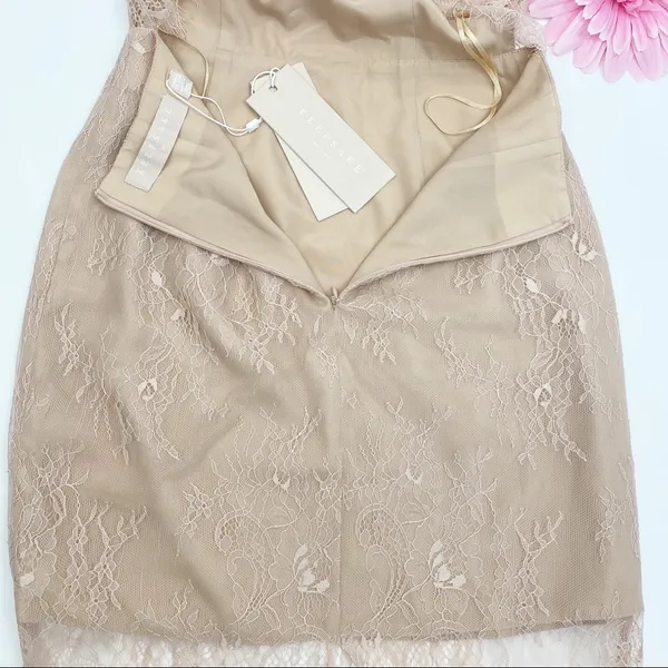 Keepsake The Label Great Love Lace Dress: Rose (Blush Pink) - Image 13