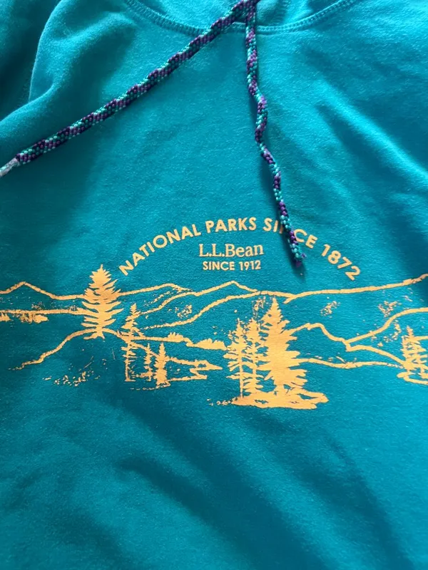 LL‎ Bean medium hoodie Green - Image 7