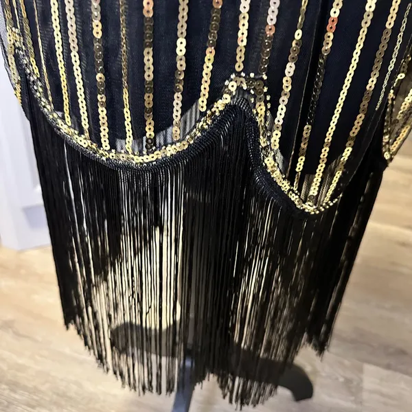 1920’s Flapper Style dress with fringe - Image 4