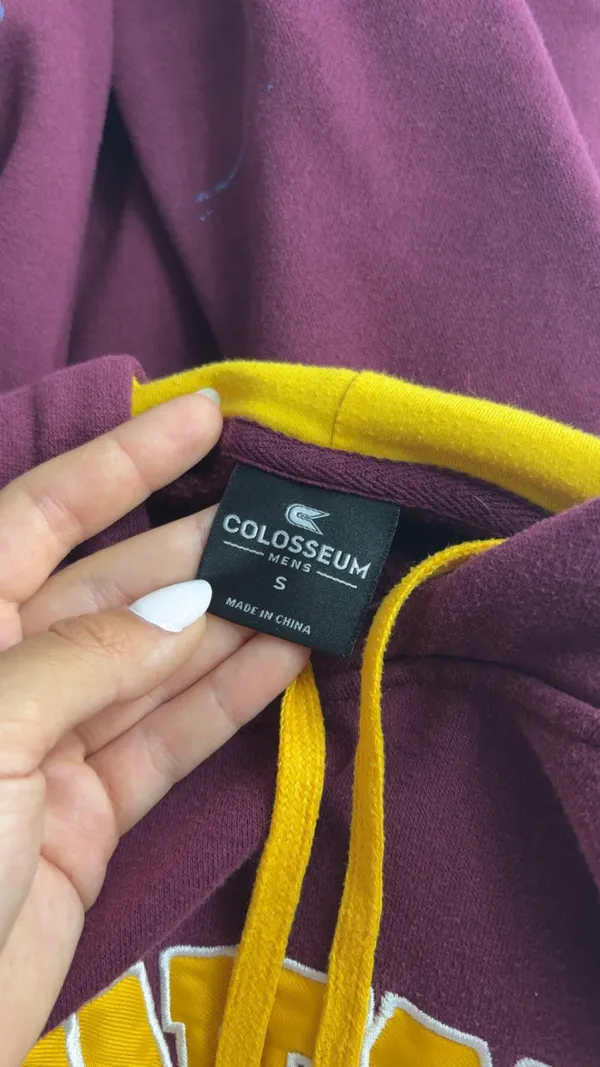 Minnesota Hoodie - Image 4