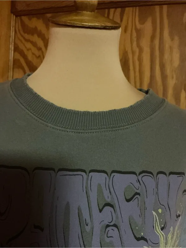 American Eagle Grateful Dead Summer Tour 76 Distressed Sweatshirt XS - Image 6