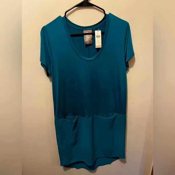 NWT‎ Dolan Anthropologie Loren Teal Drop Waist Tunic Dress Size S - Image 9