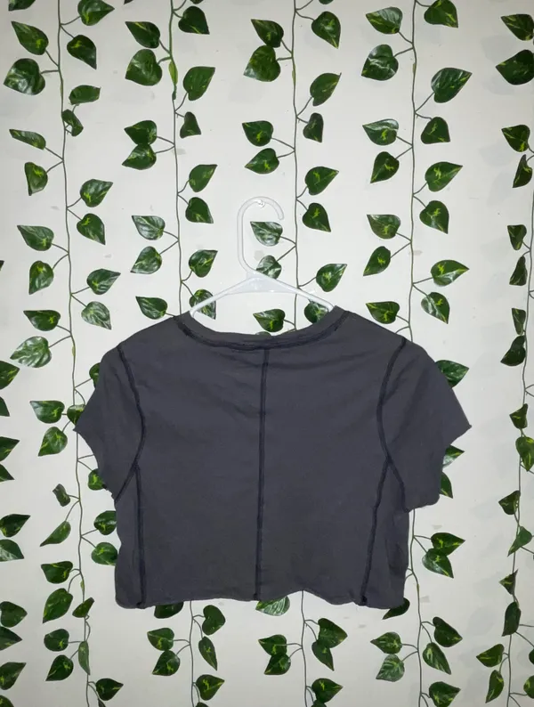 PacSun Crop Tee - Image 2