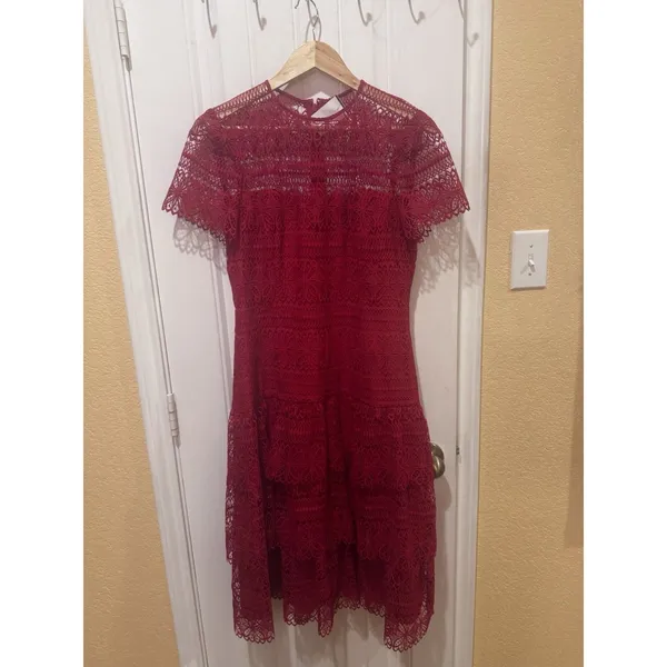 ANTONIO MELANI Red Ochre Lace Overlay Midi Dress, Mermaid-styleHem, Lined, Sz 10 - Image 6
