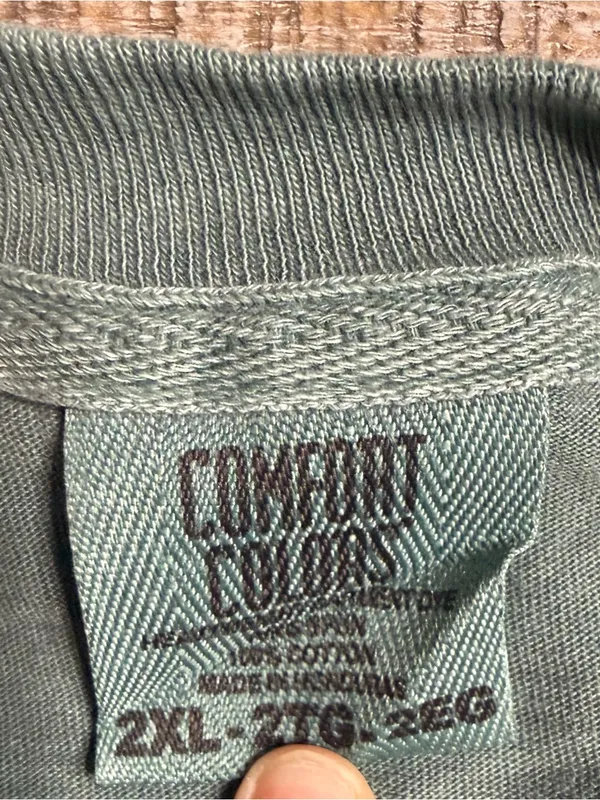 Comfort Colors Green Graphic Tee with I dilly I dally print - Image 2