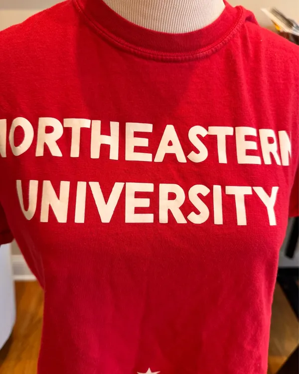 Comfort Colors Northeastern University Red Crop Top Tshirt Collegiate S Huskies Boston - Image 3
