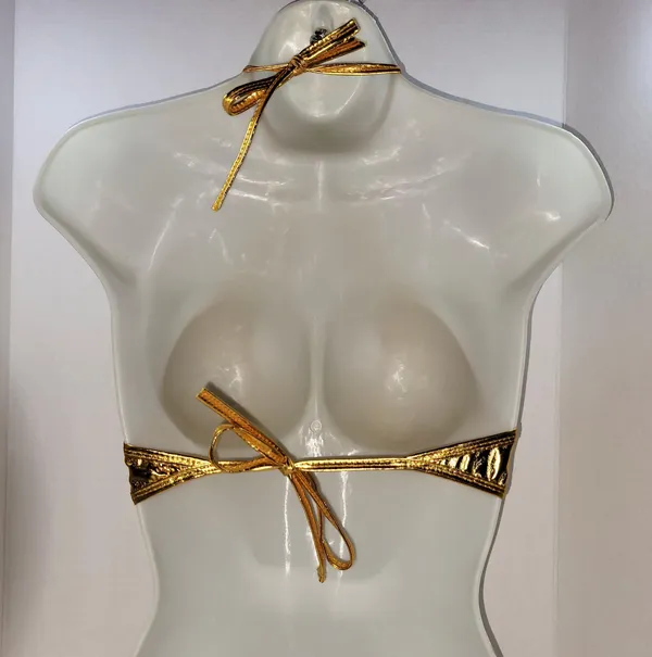 Super Sexy Metallic Gold Halter Style Top / Bra NWOT - Image 4