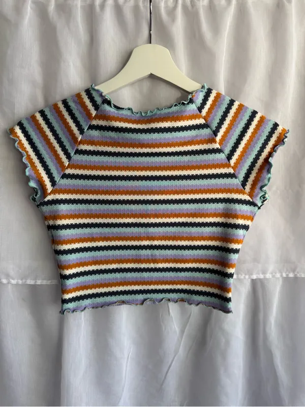 L Space Stripe Crop Top - Image 5