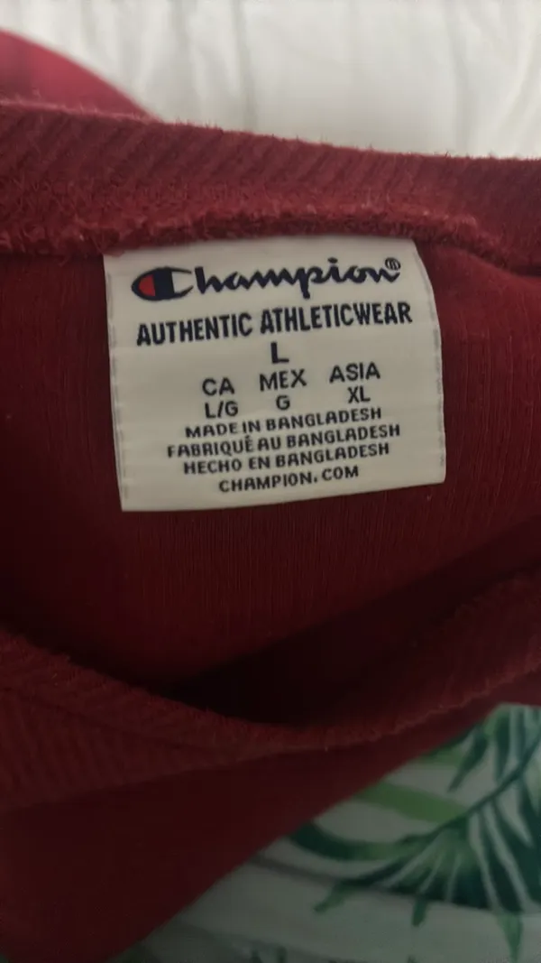 Alabama Pullover Champion - Image 2