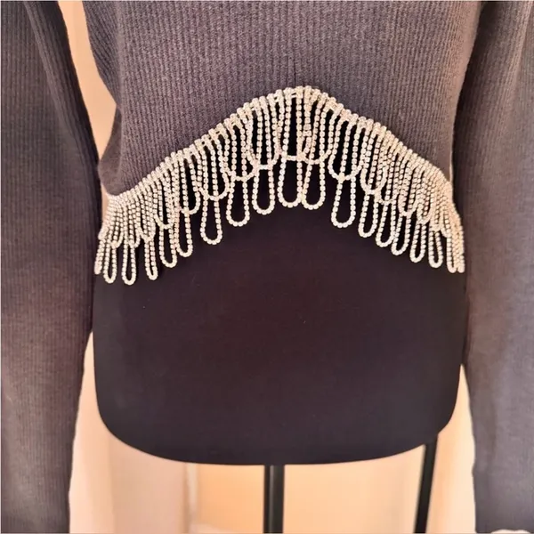 Zara Rhinestone Fringe Crop Top Gray Ribbed Y2K Going Out Party Top Size L - Image 4