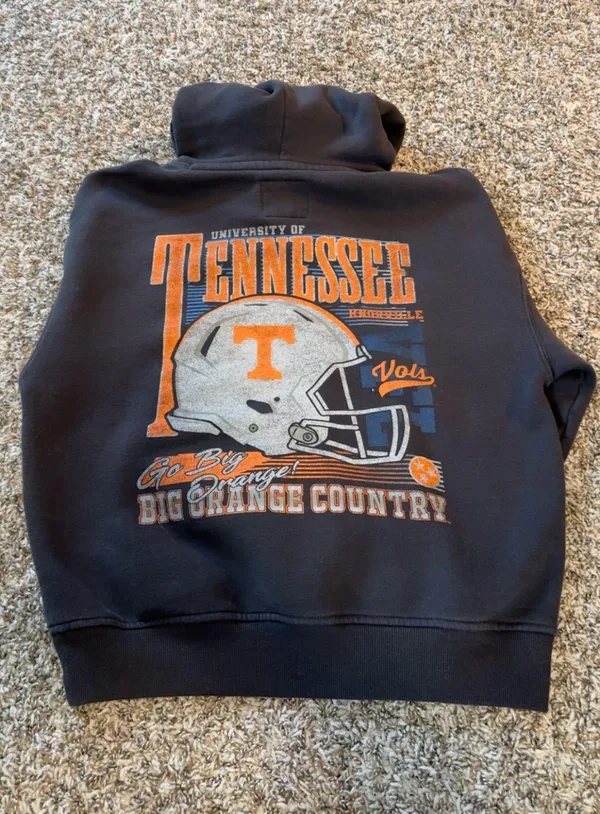 Hollister hoodie - Image 2
