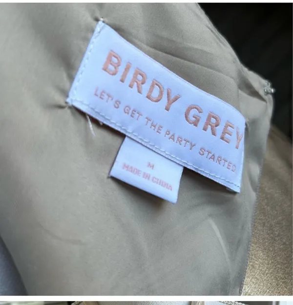 Birdy Grey Dress - Image 6