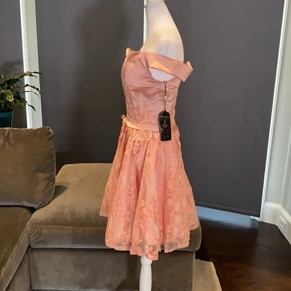 Women’s Dusty Pink Off The Shoulder Short Prom Party Dress CorsetBack Size 4 NWT - Image 4