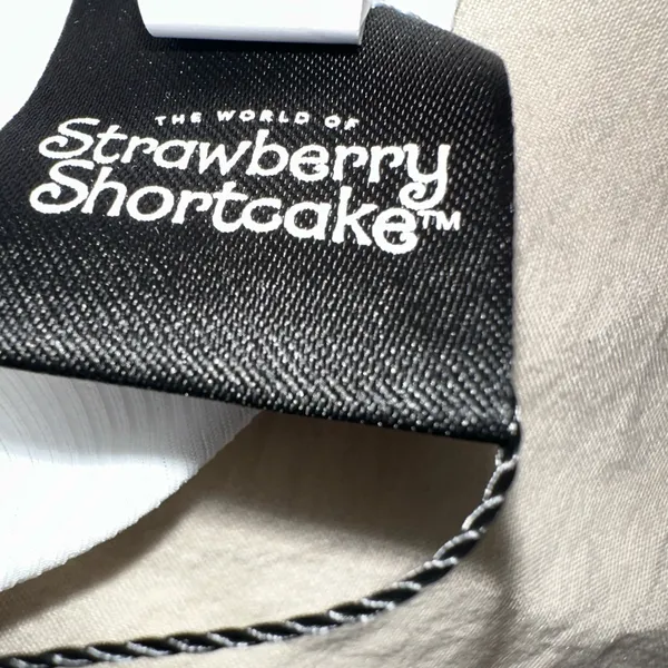 Strawberry Shortcake Pajama Set NWT Size L - Image 5
