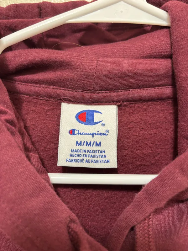 Champion Hoodie - Image 4