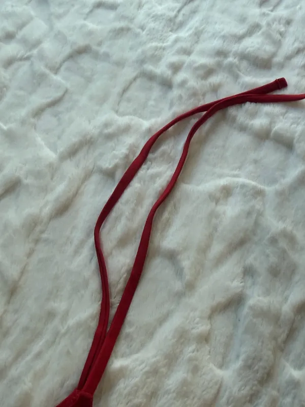 Tropic Of C Women’s Red Bikini Bottom - Sleek Strappy Size Small . NWT . - Image 7
