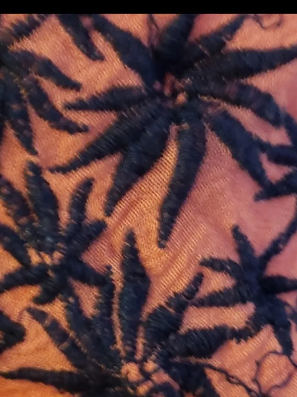 Free People Intimately Meadows of Medallion coral embroidered slip dress - Image 9