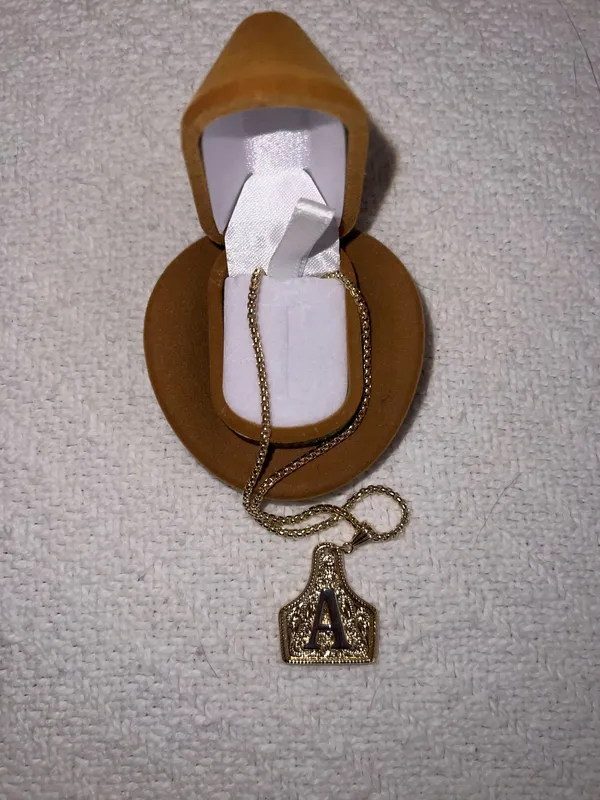Gold Initial 'A' Western Necklace - Image 3