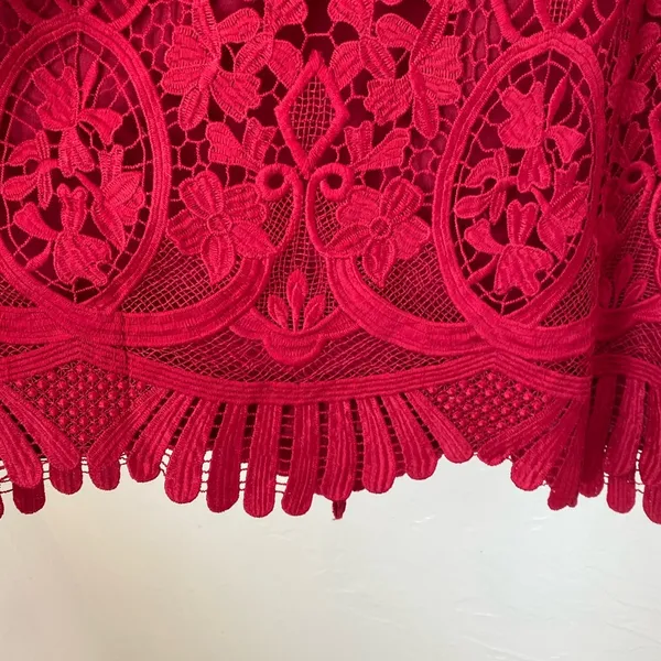 Lovers + Friends Caspian Lace shift dress▪️size S - Image 5