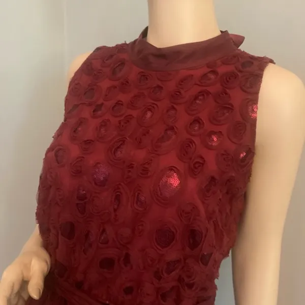 Nwt Anthropology Wine Boardx 3 -D Floral Dress Sz‎ 10 - Image 4