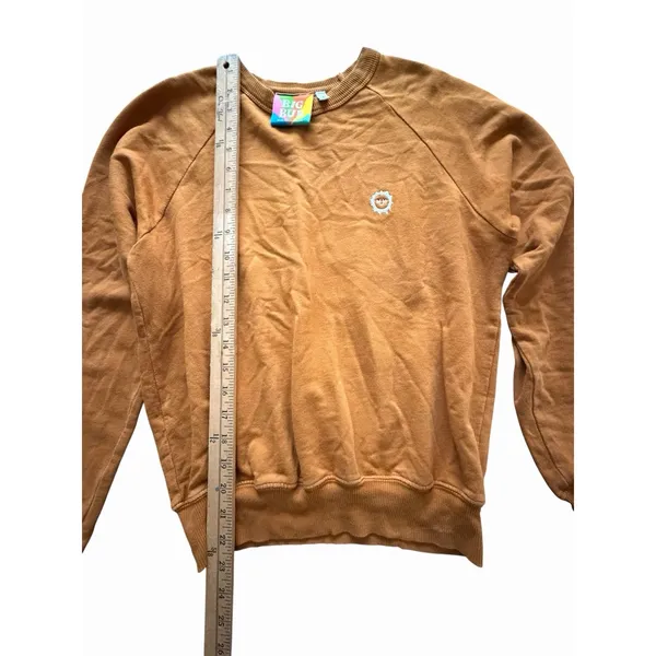 Big Bud Press Sweatshirt Size Small Mustard French Terry Crewneck Unisex #DDD1-7 - Image 4