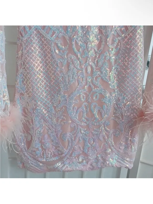 Blondie Nites Sequined Dress With Feathers - Image 3