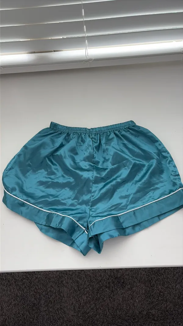 Amazon turquoise silk pjs - Image 2