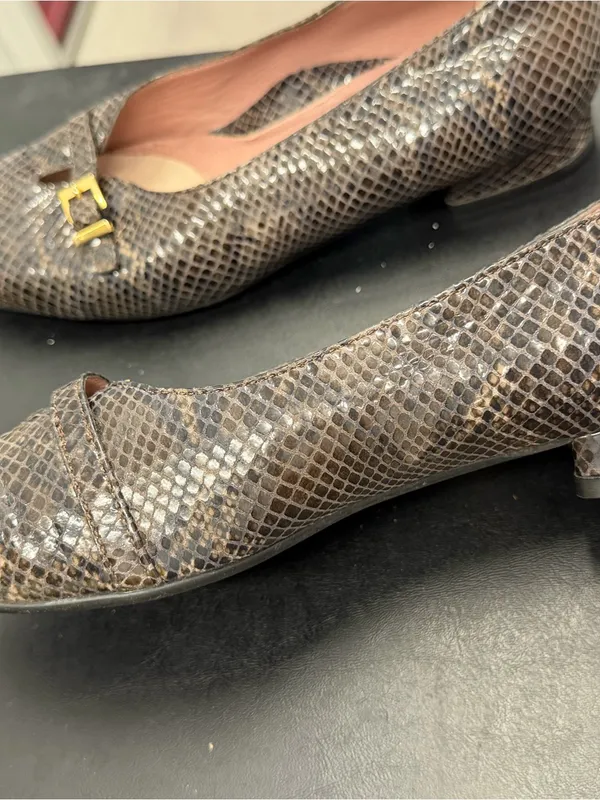 BeautiFeel Brown Snakeskin Ballet Flats with Gold Buckle Detail - Image 2