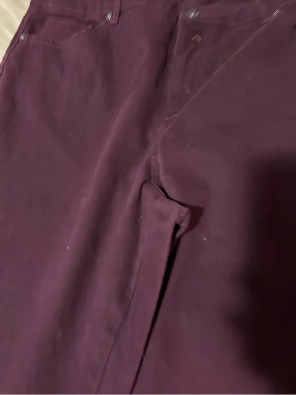 Gloria Vanderbilt Plum Straight-Leg Corduroy Pants - Image 3