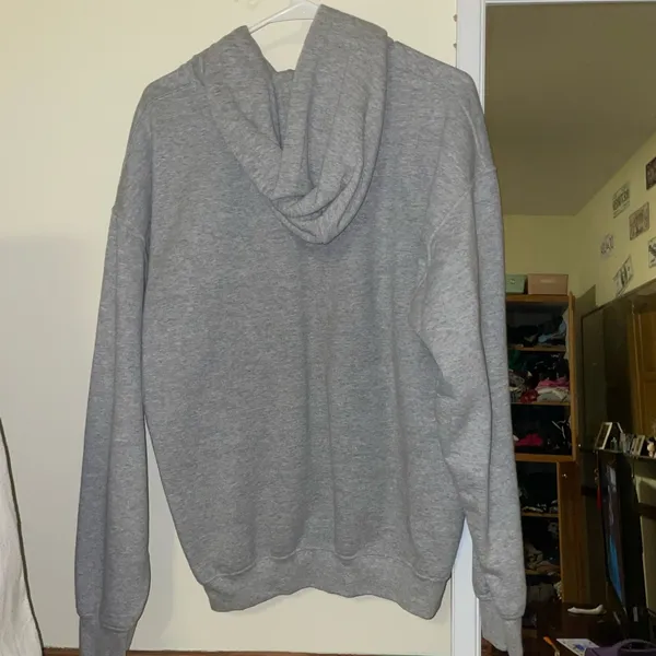 Florida hoodie Gray Size L - Image 3