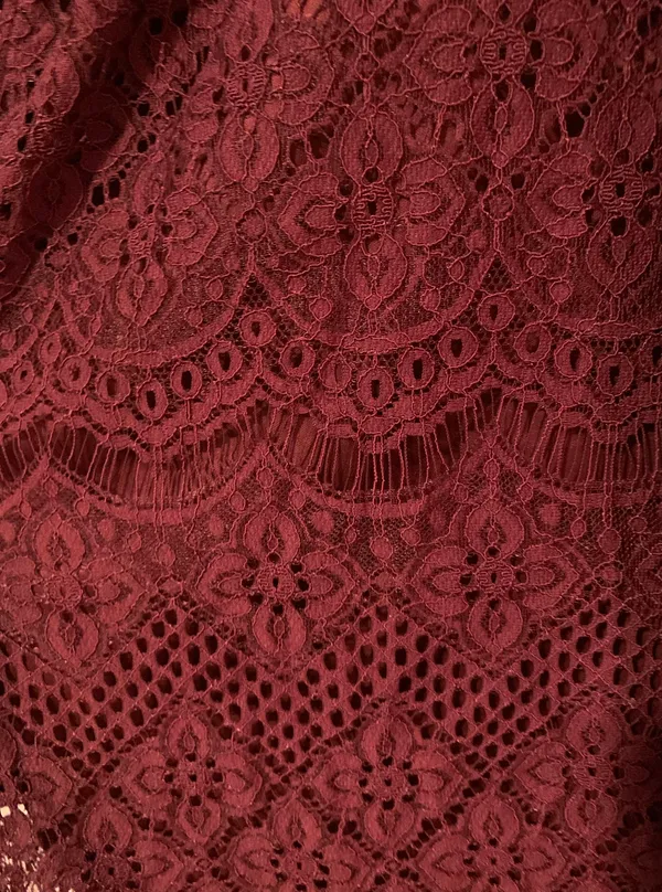Francesca's Burgundy Lace Dress - Image 3