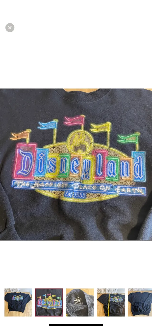 Disney land the happiest place on earth crew neck pullover land Resort size small - Image 3