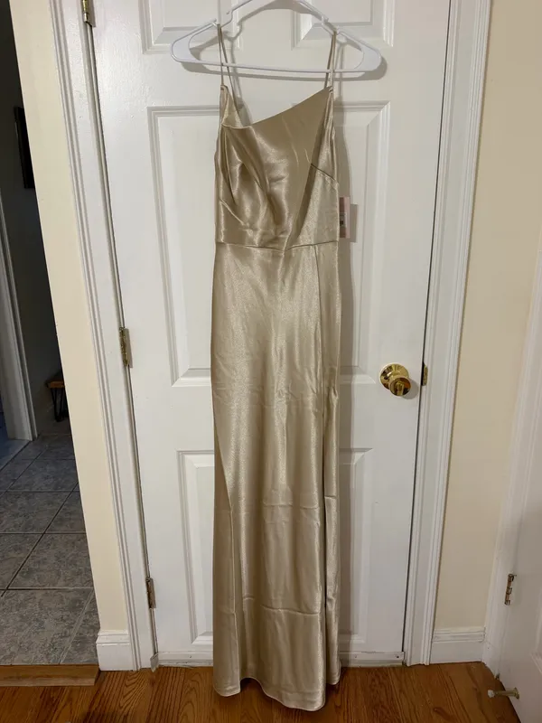 Birdy Grey Lisa Dress in Neutral Champagne - Image 6