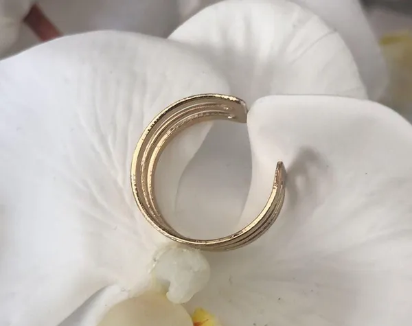 Ring - Image 2