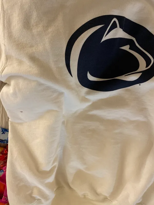 Penn State University Hoodie - Image 3