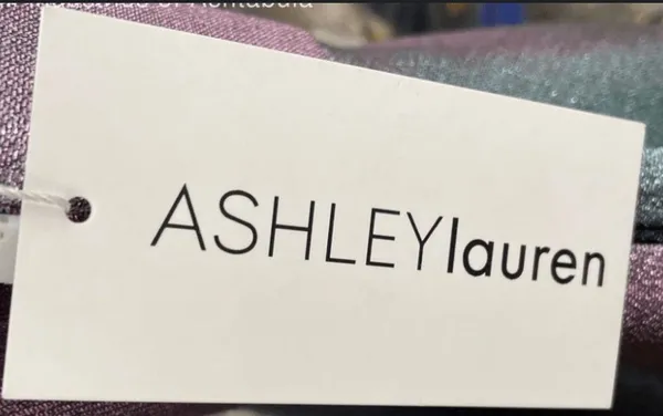 Ashley Lauren Prom Dress - Image 4