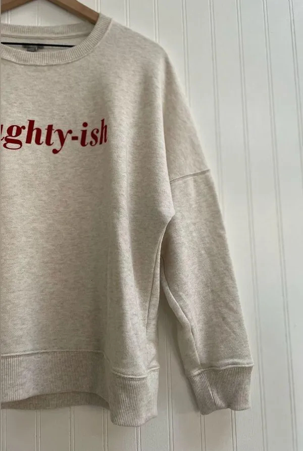 AERIE Naughty-ish Long Sleeve Pullover Crewneck Novelty Sweatshirt Size M - Image 7