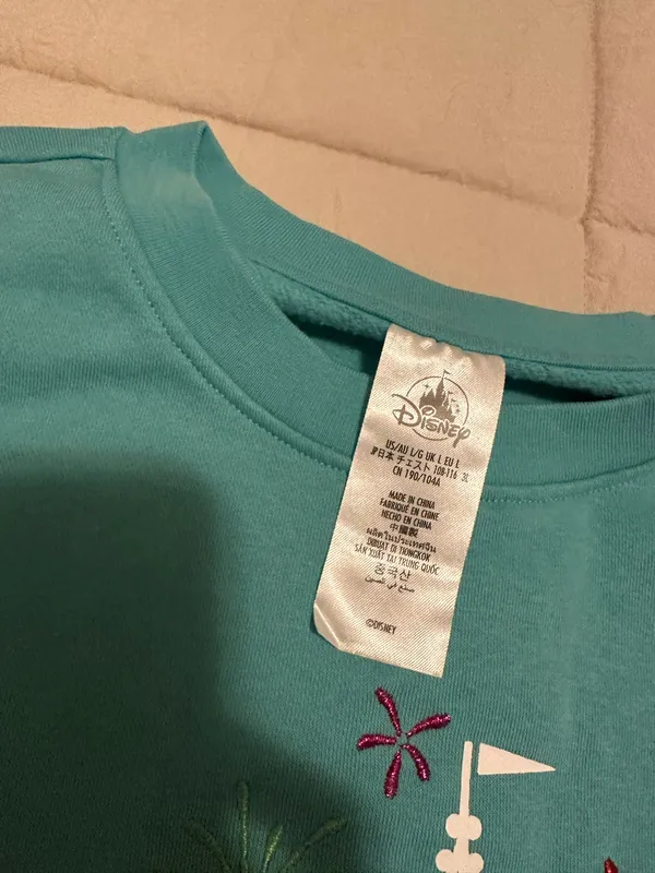 2025 Disney Graphic Sweatshirt - Image 5