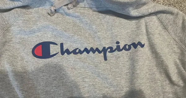Champion Gray Hoodie - Image 3