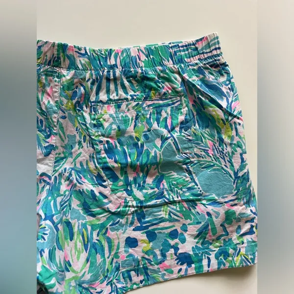 Lilly Pulitzer Ocean Trail Shorts -Size L - Image 11